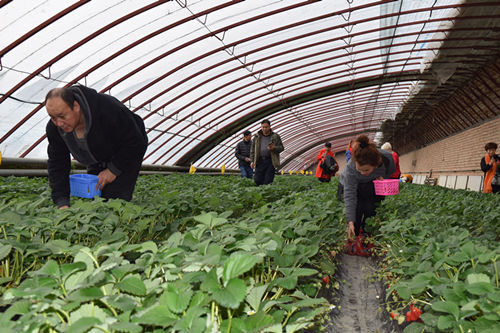 ½ŵڰʦʯܳݮ ο;ժȤ