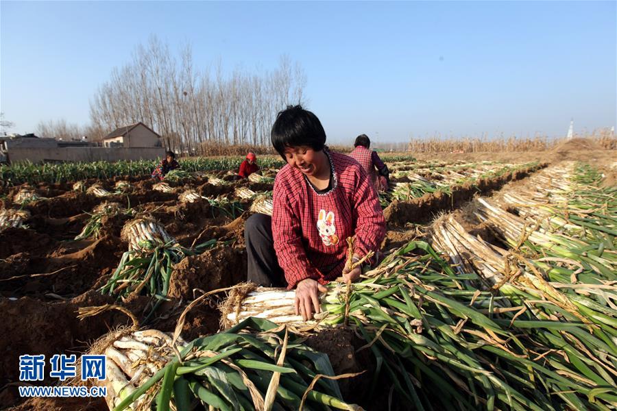 127գɽʡƽعܼׯũջС