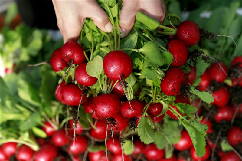 127գڽʡذļ̲԰Աڷּղժġӣܲ