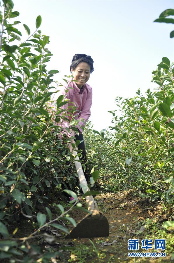 127գڹ÷糵կ壬ũڲ԰ݡ