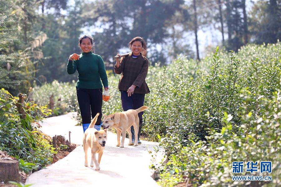 127գڹ÷糵կ壬ũȥ԰ݡ