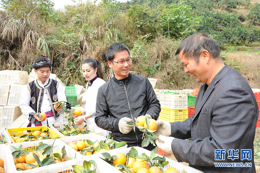 128գڹʡǭ嶱Žعˮֲأũڲȡ