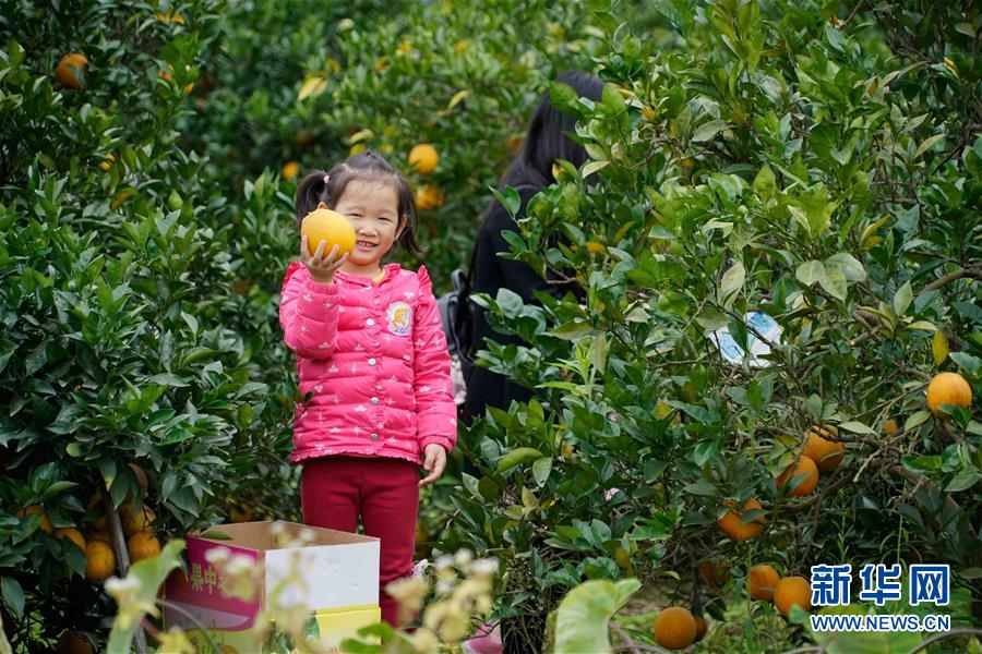 1211գڸʡغββһͥũһλСչʾողժȡ