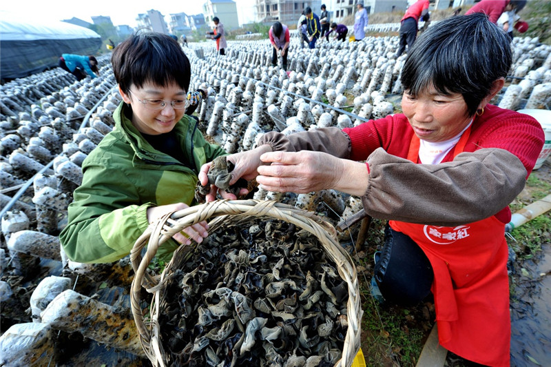 1212գũڽʡ۶ܼҴľֲزժľ