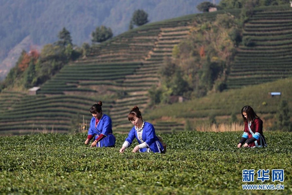 127գڹذ˽壬ũڲժҶ