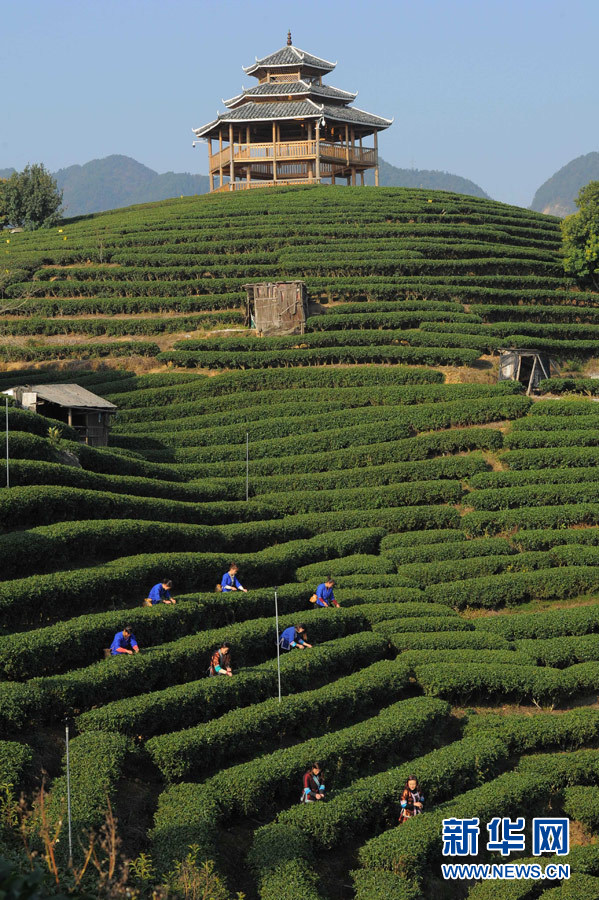 127գڹذ˽壬ũڲժҶ