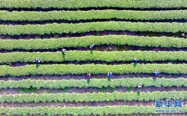 127գڹز԰Ⱥڲɲ衣