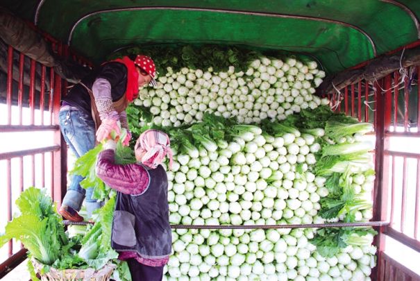 ļ ũЦաִЧũҵչʵ