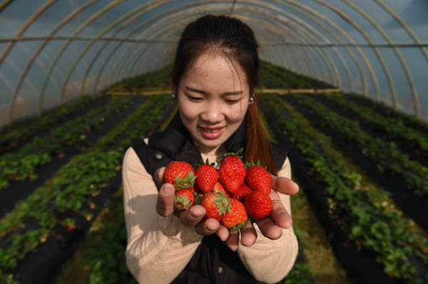 1215գοڸʡдϪϪժݮ