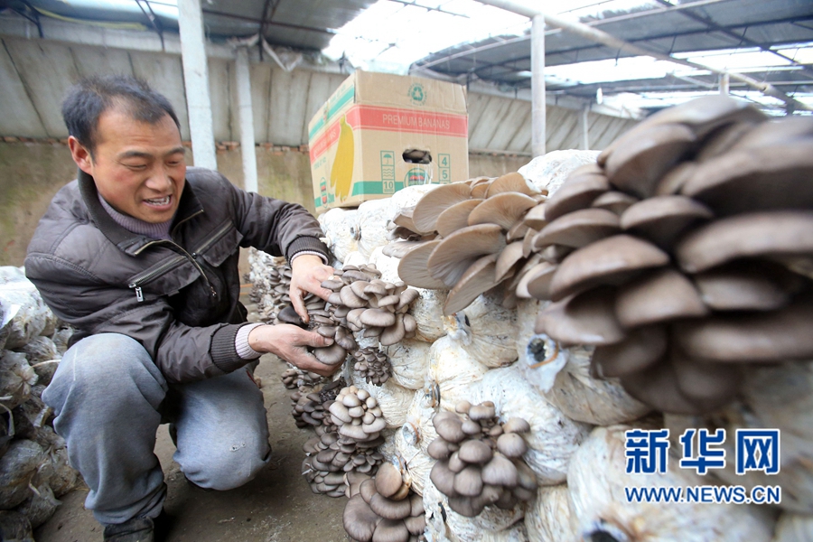 1214գ̨ϽũջĢ׼ۡ