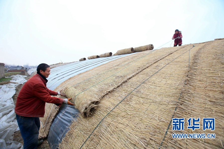 1214գ̨Ͻũڸ߲˴Ӹǲɻů