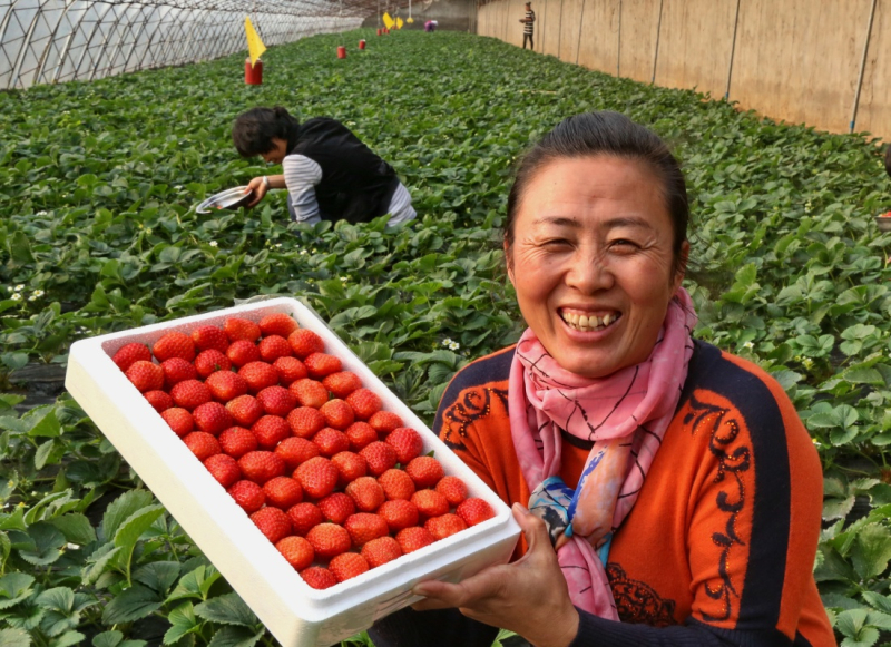 1218գһŮʿչʾںӱʡɽɽˮũҵƼ̬԰ĴڸղժĲݮ