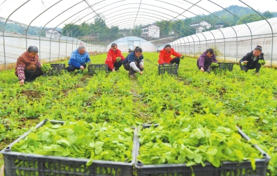 Ĵ㰲й㰲̽ϡչ߲˲ҵ