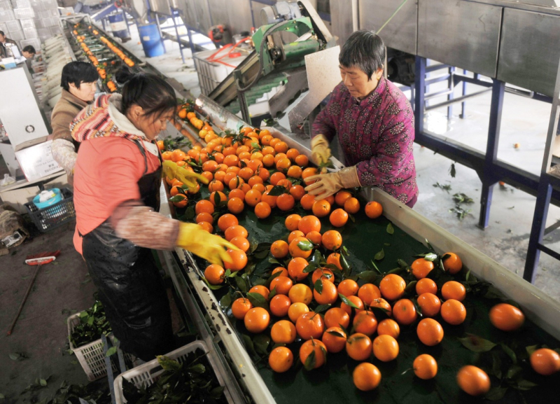 1218գںʡһȼӹּʹ