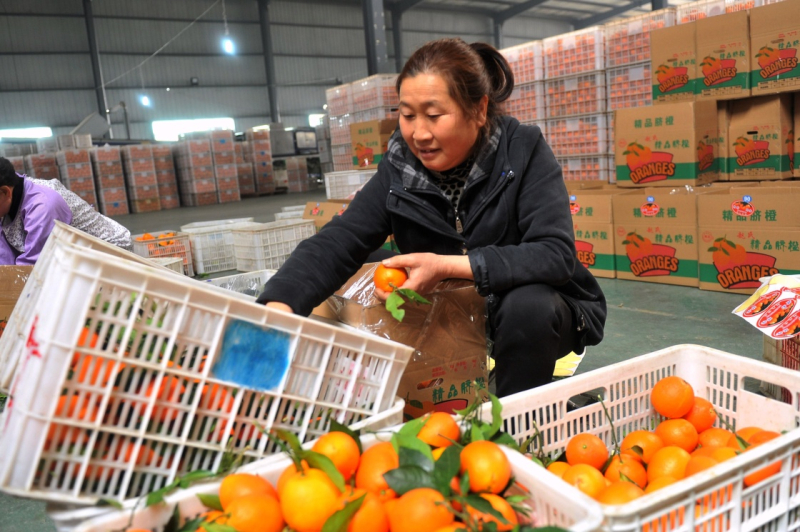 1218գںʡһȼӹװʹ