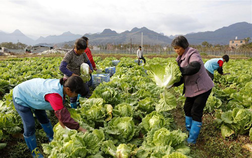 㶫߲˻ش찲ȫĹۡӡ