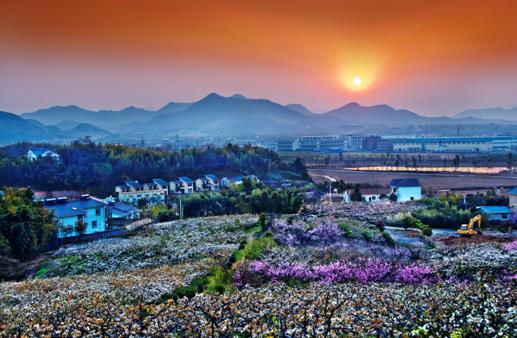 㽭߹԰ȷΪɫũҵǿ򴴽