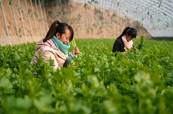 1218գοڹ̰ũϹֲרҵڲ۲ˡ