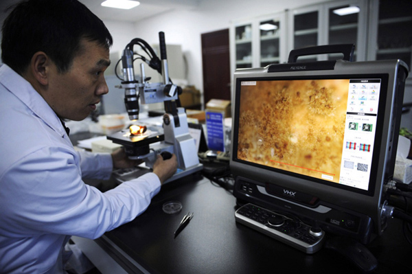 1219գϳ뾳߾ּĹԱڼ߳㡣