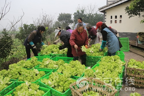 ͼΪ㰲򸣳Ǵϲ̵ذ㰲лũũרҵջˣ׼ۡ