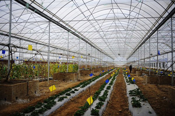 1221գũڴݱؽţƼũҵ԰ˮв鿴