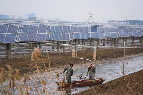 江苏阜宁:渔光互补生态又富民