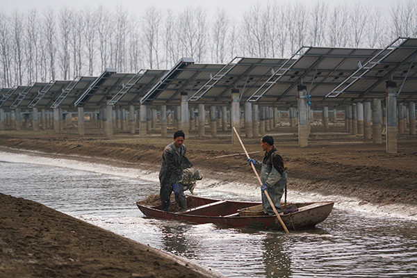 12月20日,在阜宁新能光伏电力有限公司30兆瓦渔光互补光伏发电项目现场,渔民在捕鱼。