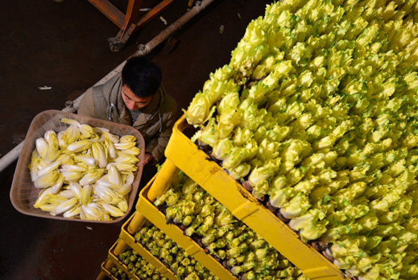 1222գںӱأһԱڰ˸ղյľĲˡ