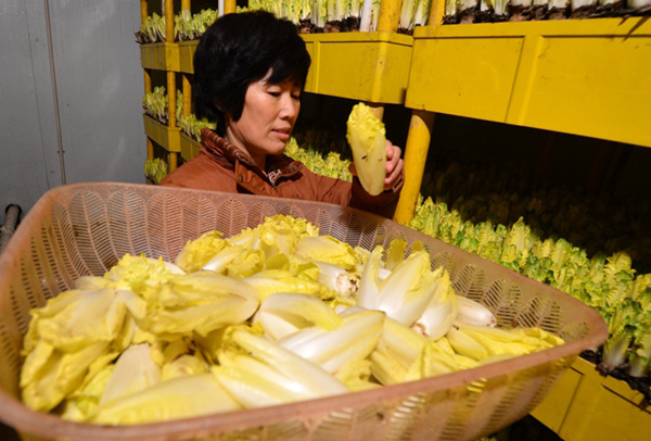 1222գںӱأһԱڲվĲˡ