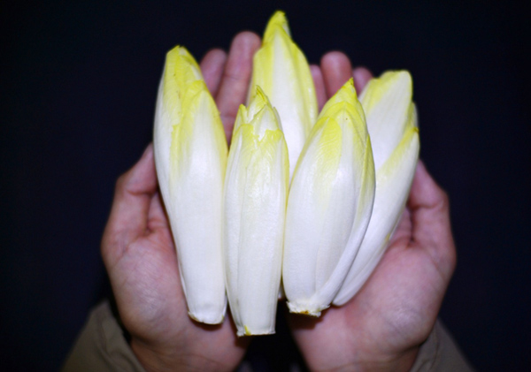 1222ĺӱسɫ߲˾Ĳˡ