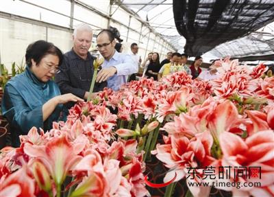 㶫ɫũҵרݸ ʥŶݸ