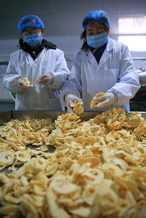 1223գ崨Ʒ˾ڣ򻯸ƻƬ