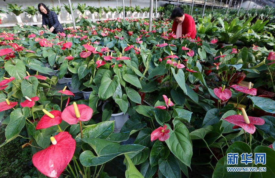 ׯ·ֵԵũҴڹܣ1130㣩