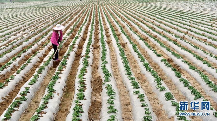 ׯɽͤºׯũԱֲ44㣩