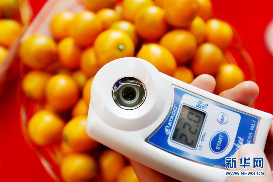 1228գڽֳ̨Աڲ۵Ƕȡ