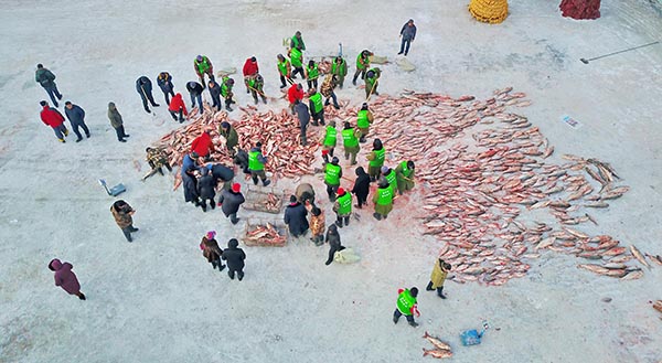 1227գοڲɺ泡ѡ㡣