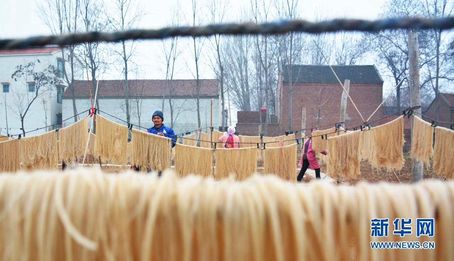 拍摄于滑县慈周寨镇粉条加工厂,梁德昌夫妇和工人一起正在晾晒粉条。