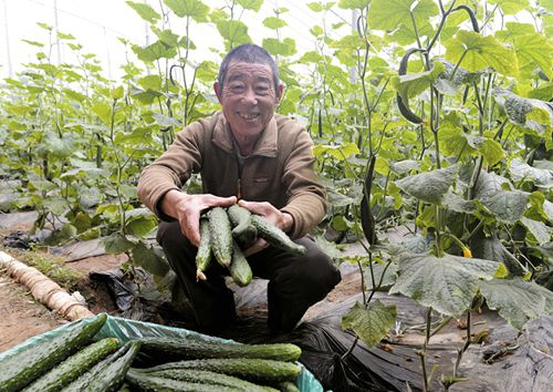 ݺ˶ũҵ̬԰߲˴ƹϷգũϲЦտ