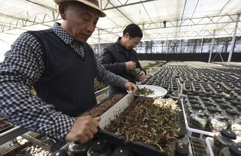 1229գԱִũҵƼ԰ԽֲĿ֯