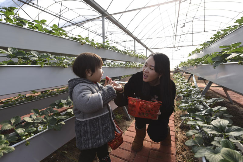 1229գοִũҵƼ԰Ħׯ԰ݮƷݮ