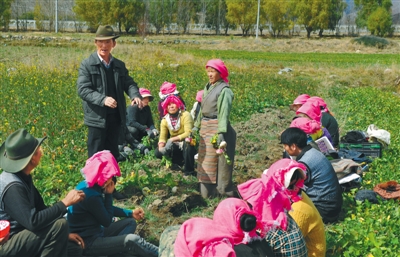 ͼΪˮɫƼԱͷԵũչֲҵָ