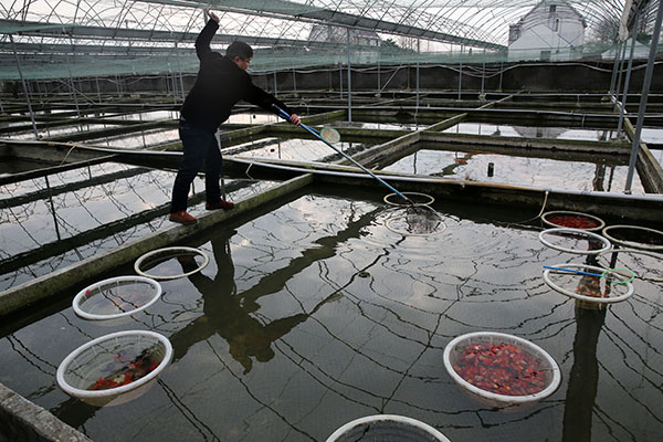 1228գ޶˫Ⱥֳֳѡ㡣