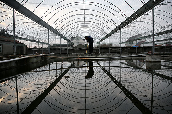 1228գ޶˫Ⱥֳڻѡ㡣