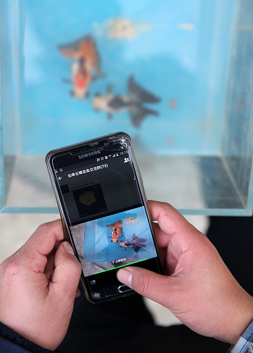 1228գ޶˫Ⱥרҵ繤Աµƽ̨ƷϢ