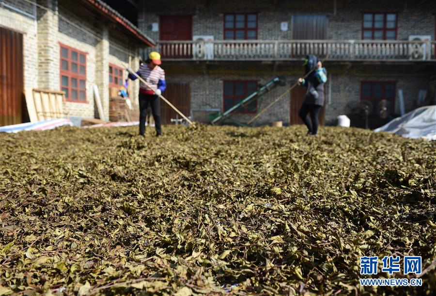 һ賧ĹԱɹҶ1230㣩