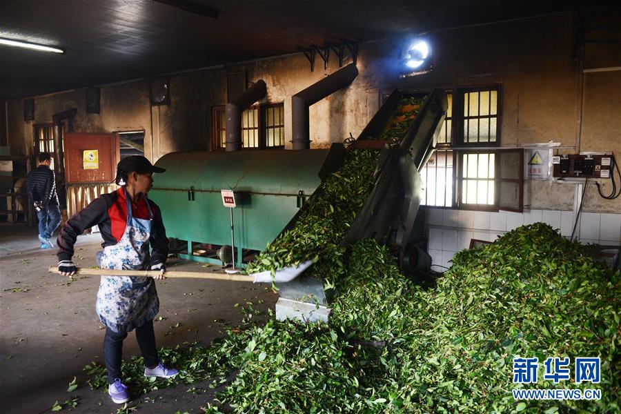 һ賧ĹԱԲҶɱࣨ1230㣩