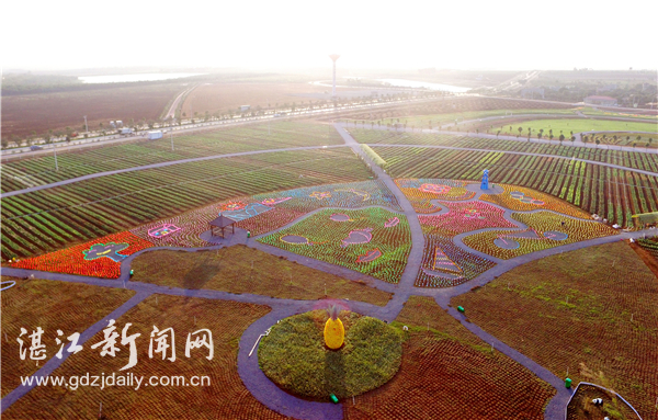 㶫տݰ뵺ִũҵʾ԰