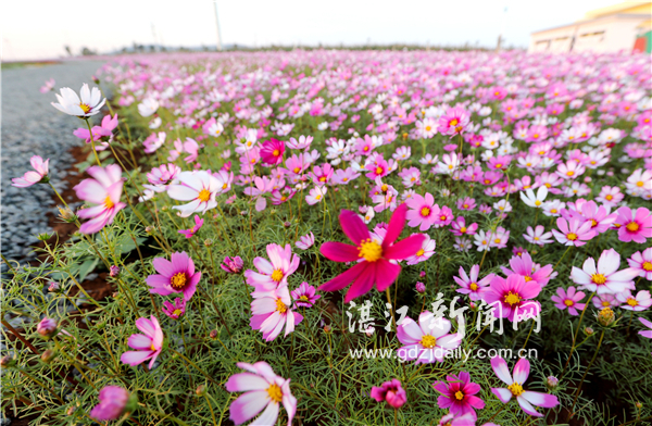 㶫տݰ뵺ִũҵʾ԰