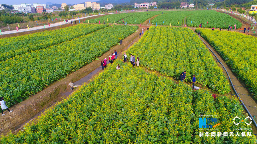 ĿǰĵֲԼ8000ĶĶԼ3000