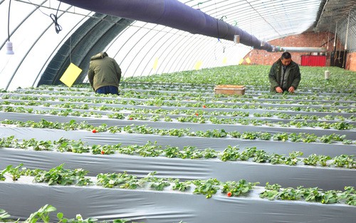 ½ŵڰʦһľŸݮֲæ